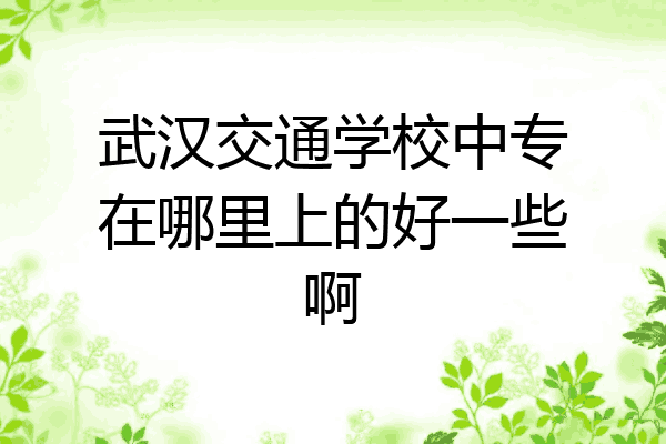 武汉交通学校中专在哪里上的好一些啊