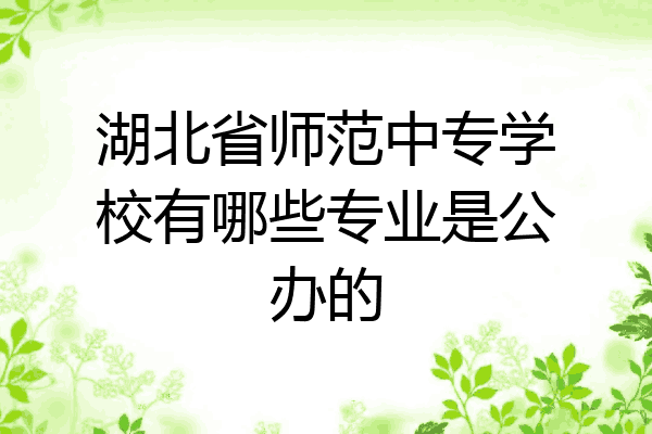 湖北省师范中专学校有哪些专业是公办的
