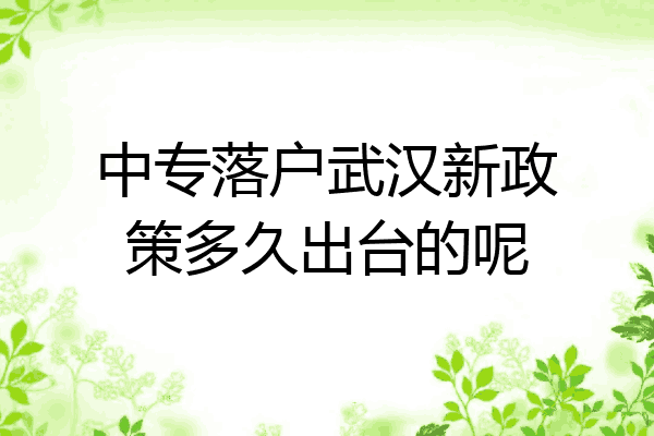 中专落户武汉新政策多久出台的呢