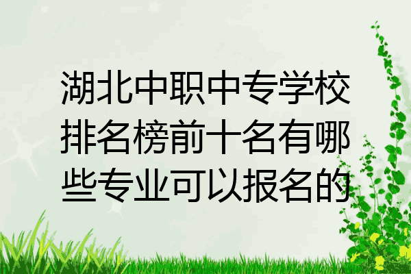 湖北中职中专学校排名榜前十名有哪些专业可以报名的