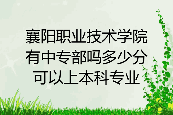 襄阳职业技术学院有中专部吗多少分可以上本科专业
