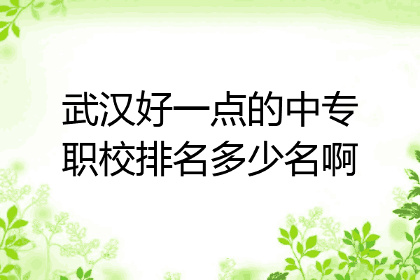 武汉好一点的中专职校排名多少名啊