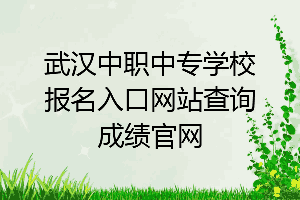 武汉中职中专学校报名入口网站查询成绩官网