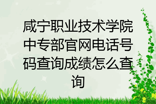 咸宁职业技术学院中专部官网电话号码查询成绩怎么查询