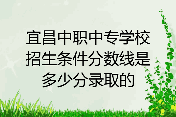 宜昌中职中专学校招生条件分数线是多少分录取的