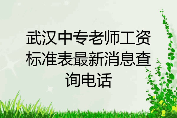武汉中专老师工资标准表最新消息查询电话