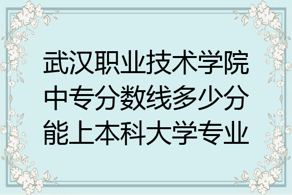 武汉职业技术学院中专分数线多少分能上本科大学专业