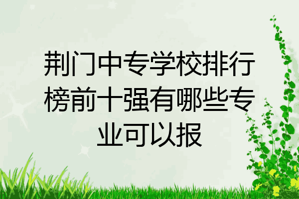 荆门中专学校排行榜前十强有哪些专业可以报