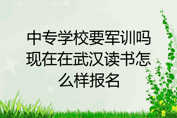 中专学校要军训吗现在在武汉读书怎么样报名