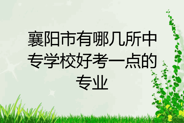 襄阳市有哪几所中专学校好考一点的专业
