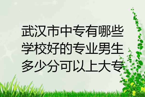 武汉市中专有哪些学校好的专业男生多少分可以上大专