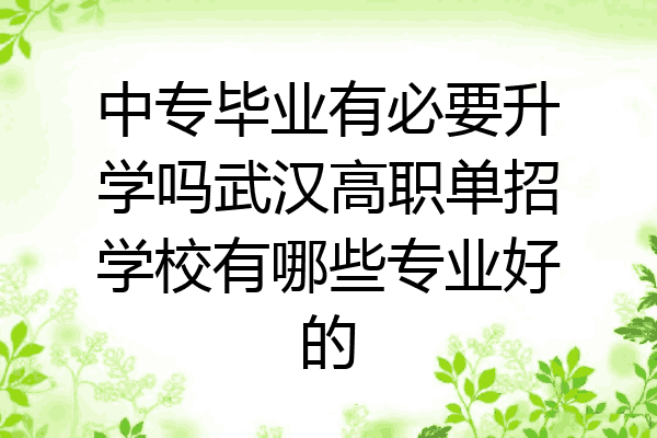 中专毕业有必要升学吗武汉高职单招学校有哪些专业好的