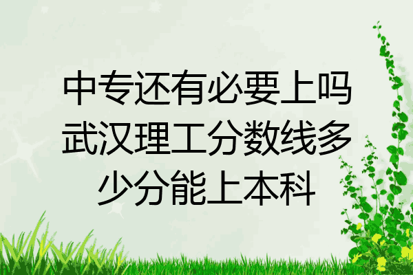 中专还有必要上吗武汉理工分数线多少分能上本科