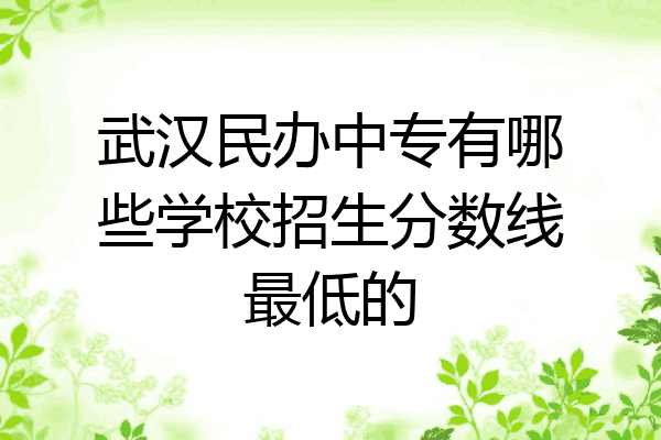 武汉民办中专有哪些学校招生分数线最低的