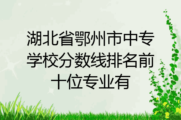 湖北省鄂州市中专学校分数线排名前十位专业有