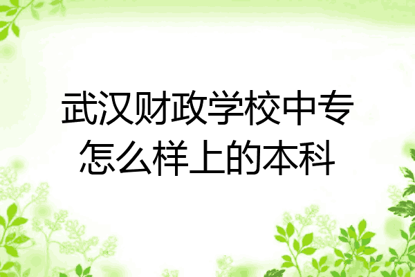 武汉财政学校中专怎么样上的本科