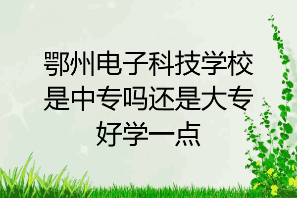 鄂州电子科技学校是中专吗还是大专好学一点