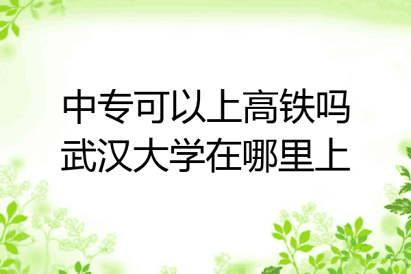 中专可以上高铁吗武汉大学在哪里上