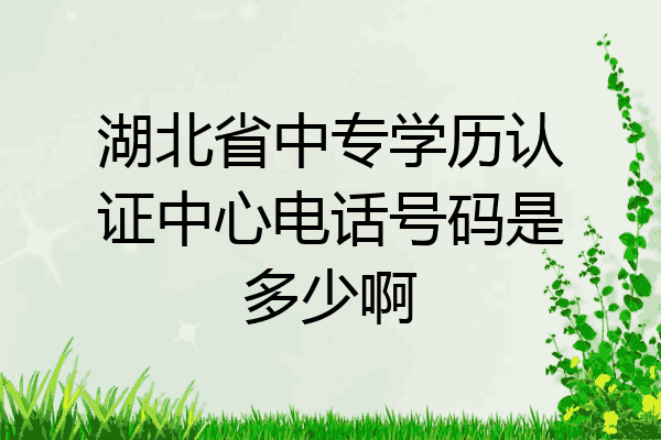 湖北省中专学历认证中心电话号码是多少啊