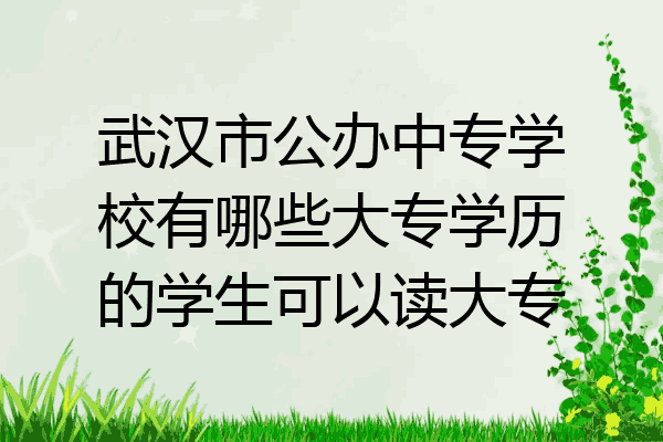 武汉市公办中专学校有哪些大专学历的学生可以读大专