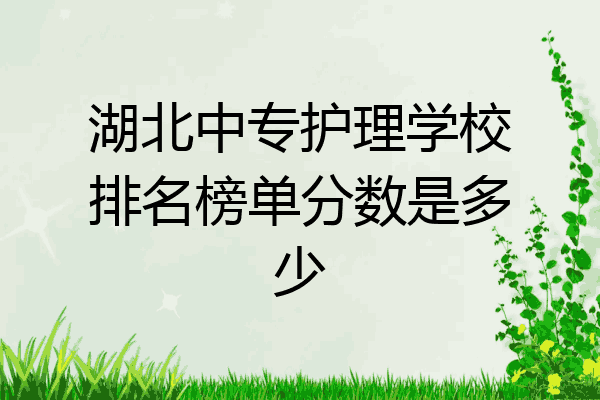 湖北中专护理学校排名榜单分数是多少