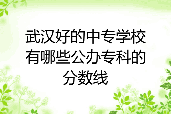 武汉好的中专学校有哪些公办专科的分数线