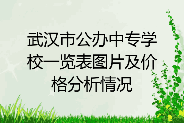 武汉市公办中专学校一览表图片及价格分析情况
