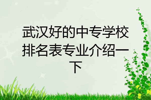 武汉好的中专学校排名表专业介绍一下