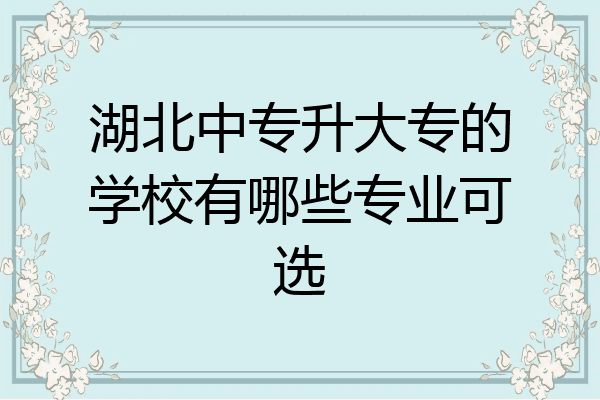 湖北中专升大专的学校有哪些专业可选