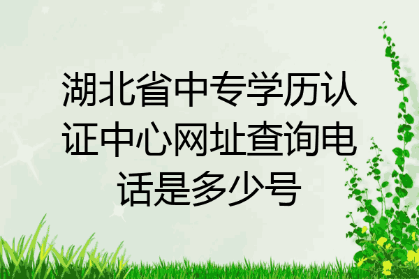 湖北省中专学历认证中心网址查询电话是多少号