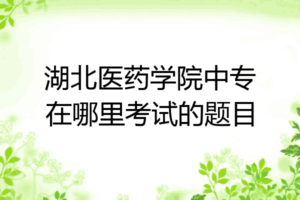 湖北医药学院中专在哪里考试的题目
