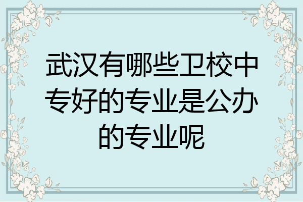 武汉有哪些卫校中专好的专业是公办的专业呢