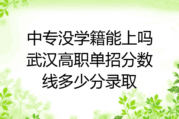 中专没学籍能上吗武汉高职单招分数线多少分录取