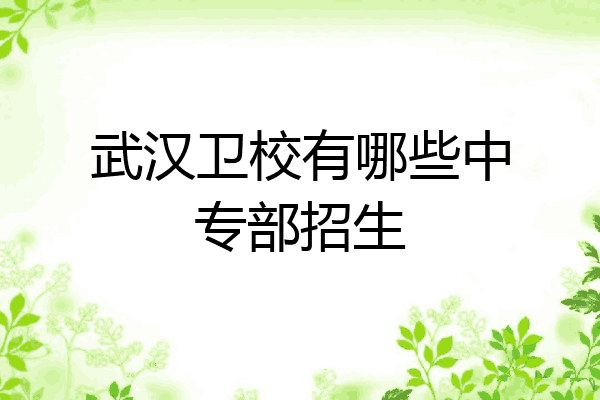 武汉卫校有哪些中专部招生