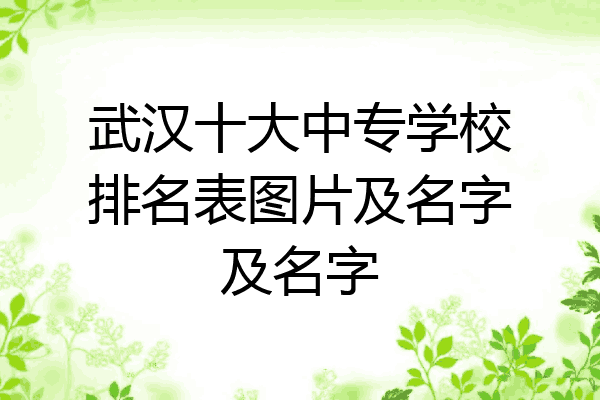 武汉十大中专学校排名表图片及名字及名字