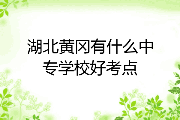 湖北黄冈有什么中专学校好考点