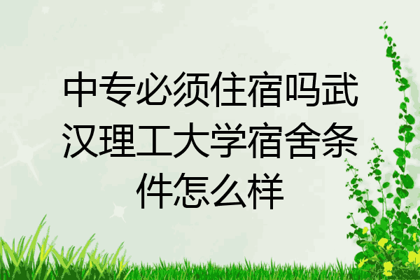 中专必须住宿吗武汉理工大学宿舍条件怎么样