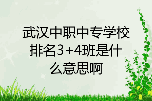 武汉中职中专学校排名3+4班是什么意思啊