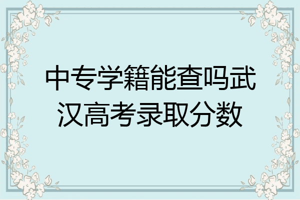 中专学籍能查吗武汉高考录取分数