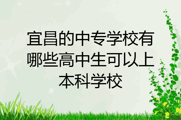 宜昌的中专学校有哪些高中生可以上本科学校