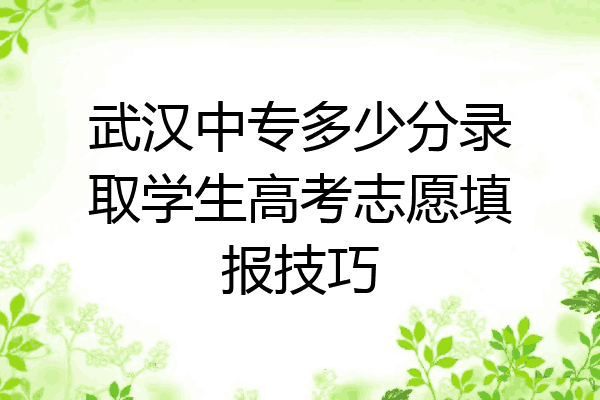 武汉中专多少分录取学生高考志愿填报技巧