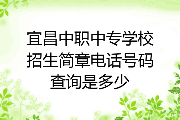 宜昌中职中专学校招生简章电话号码查询是多少