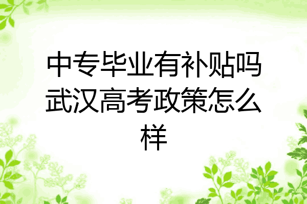 中专毕业有补贴吗武汉高考政策怎么样
