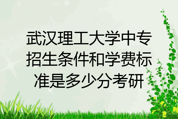 武汉理工大学中专招生条件和学费标准是多少分考研