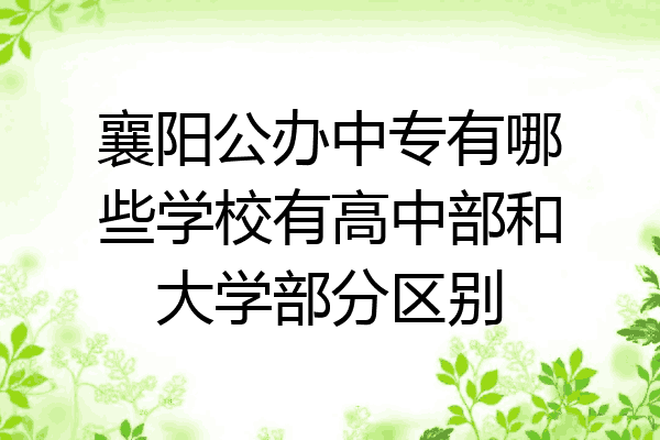 襄阳公办中专有哪些学校有高中部和大学部分区别