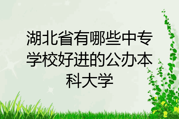 湖北省有哪些中专学校好进的公办本科大学