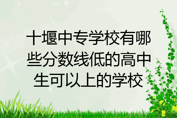 十堰中专学校有哪些分数线低的高中生可以上的学校