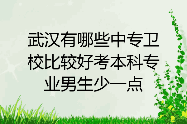 武汉有哪些中专卫校比较好考本科专业男生少一点