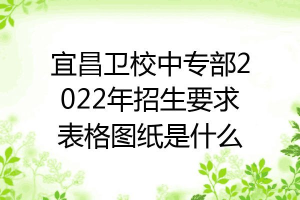 宜昌卫校中专部2022年招生要求表格图纸是什么