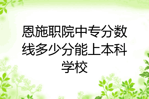 恩施职院中专分数线多少分能上本科学校